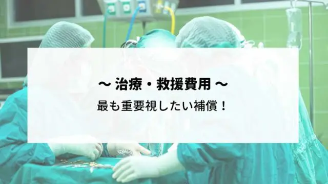 治療救援費用